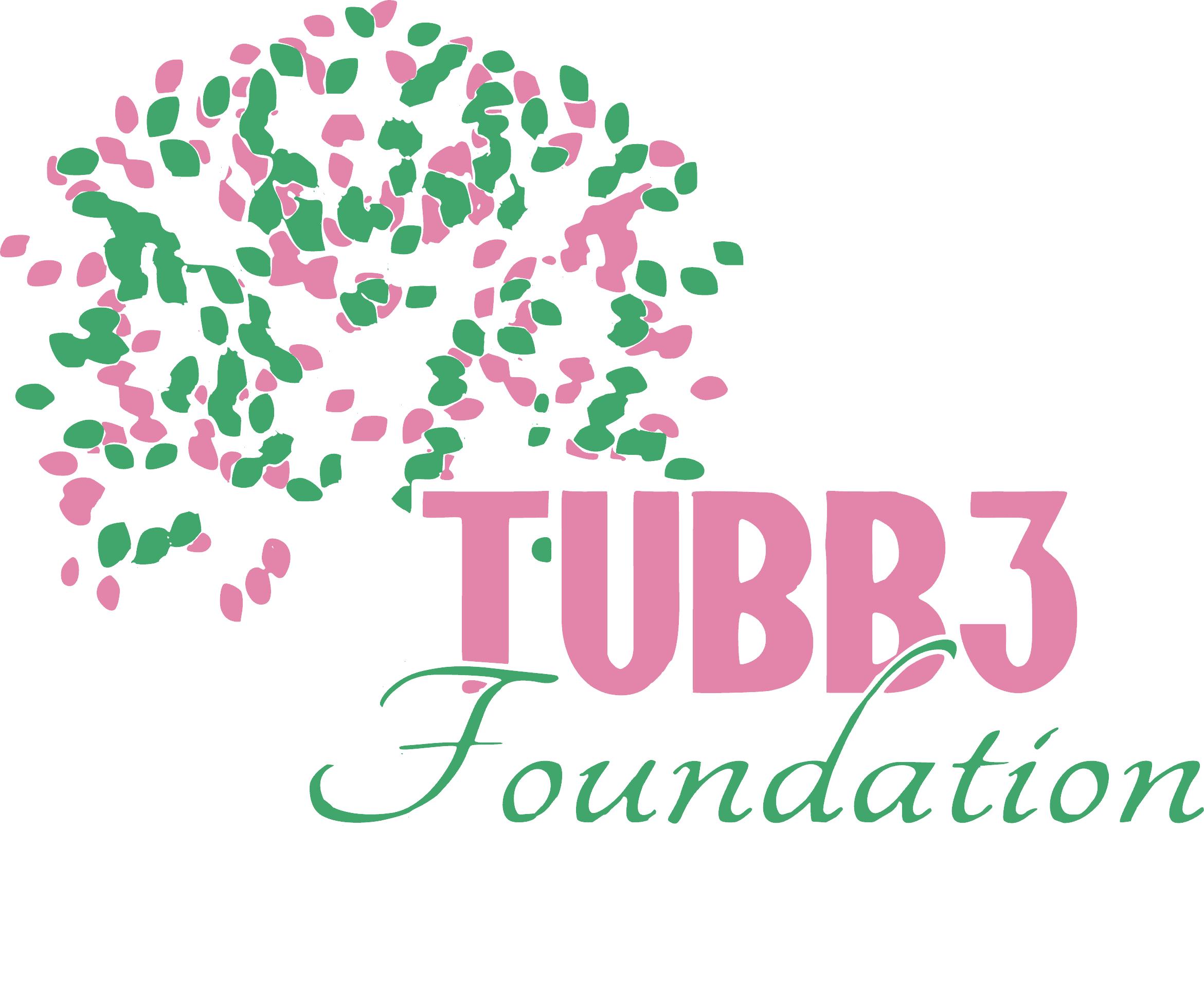 Campaign cover image for 2026 TUBB3 Family Conference