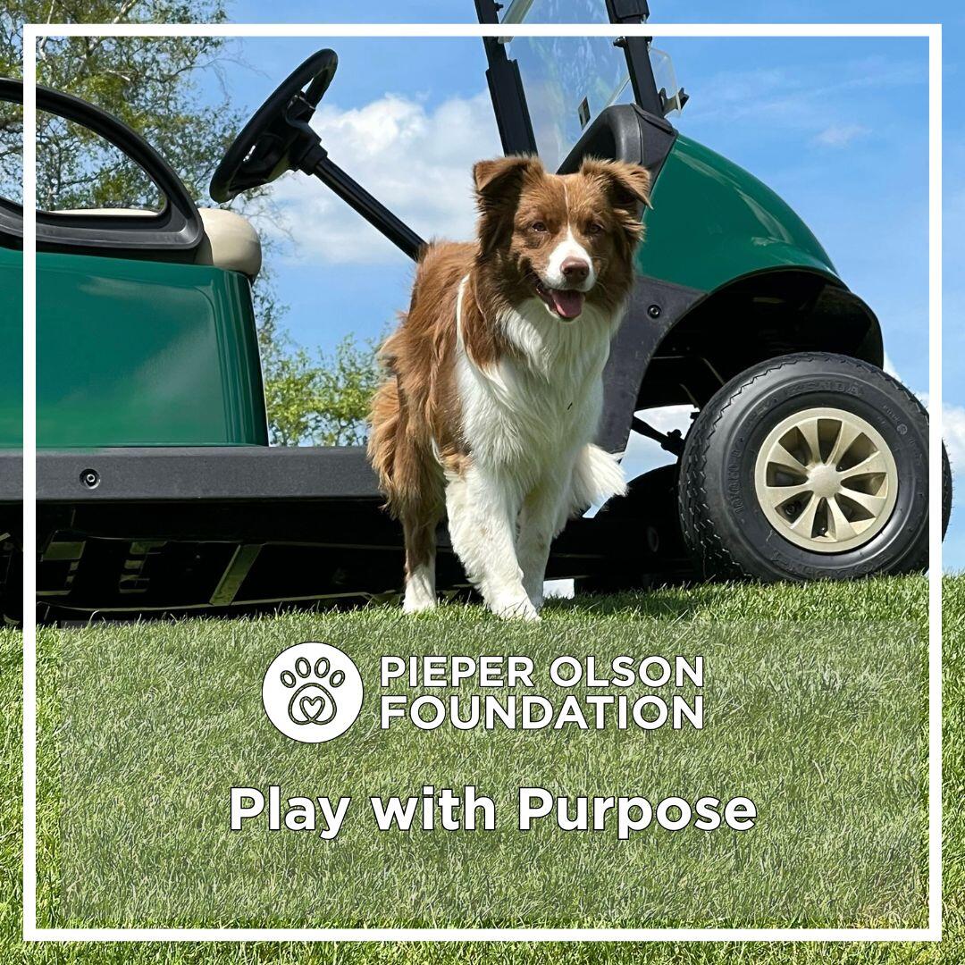 Campaign cover image for 2026 Pieper Olson Foundation Golf Classic