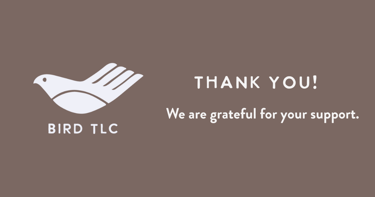 Campaign cover image for There's still time to help wild birds!