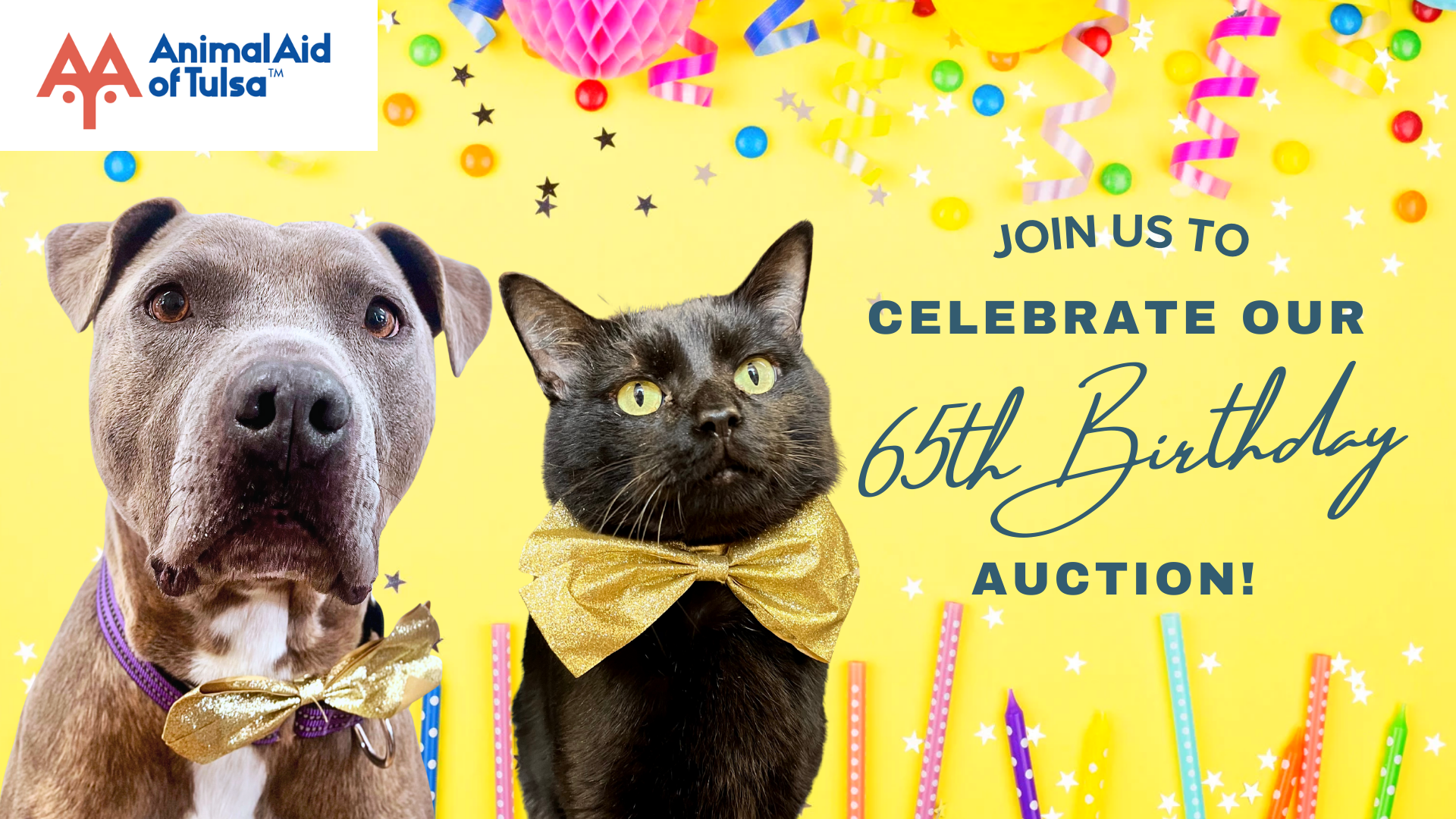 Campaign cover image for Birthday Wishes Online Auction 2026