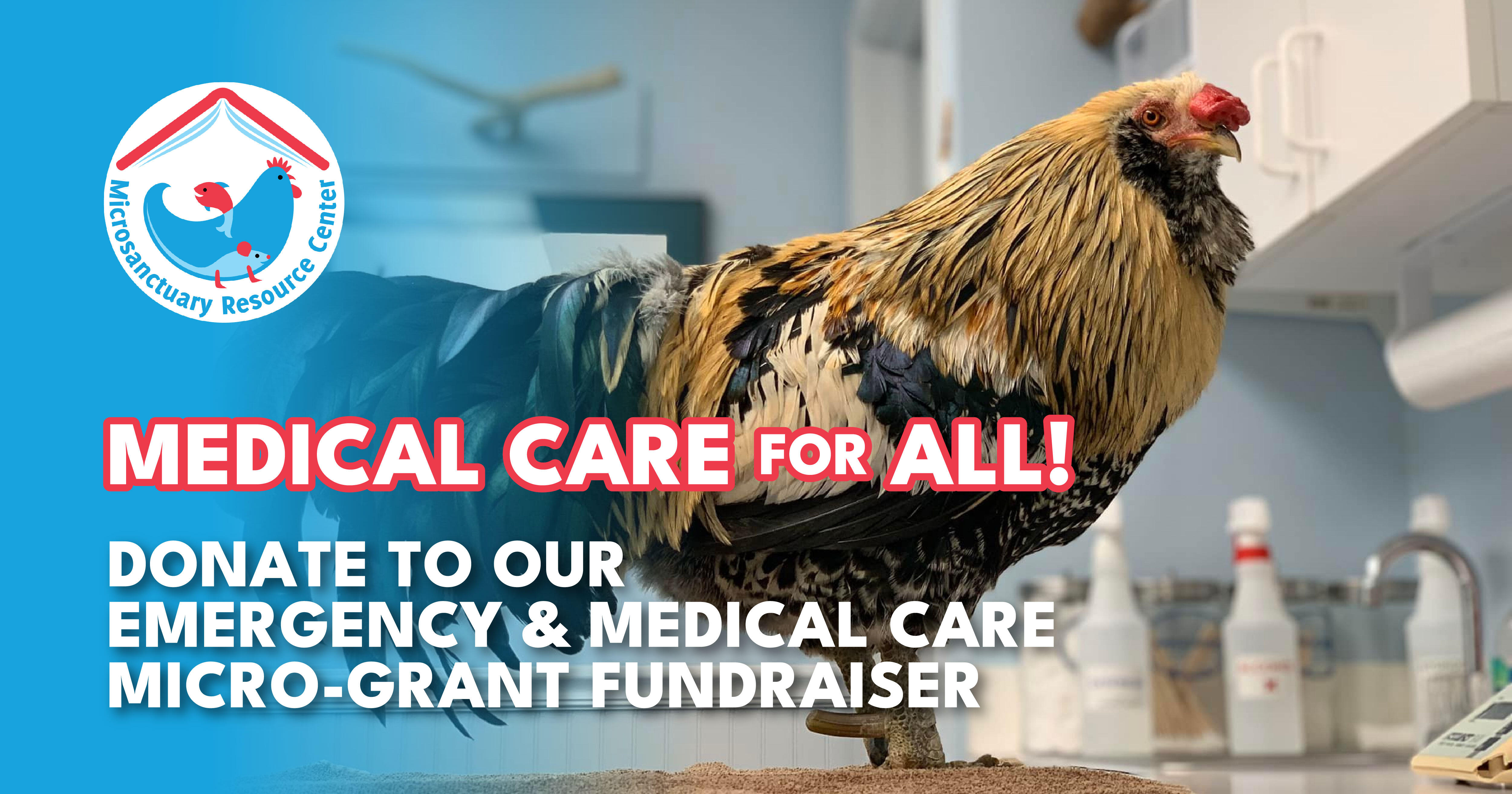 Campaign cover image for Medical Care for All!