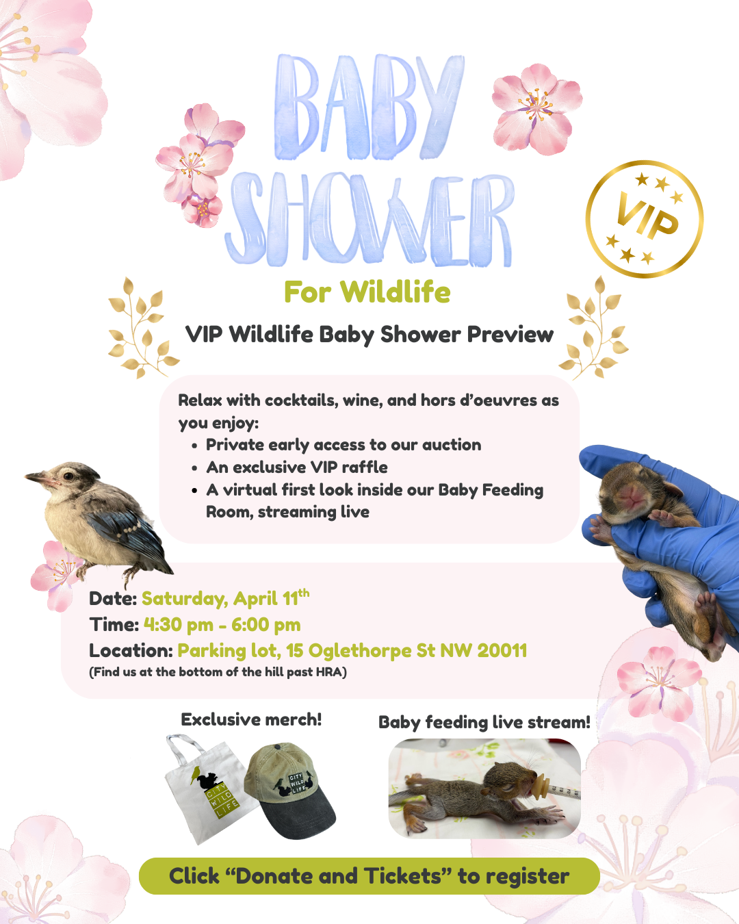Campaign cover image for VIP Wildlife Baby Shower