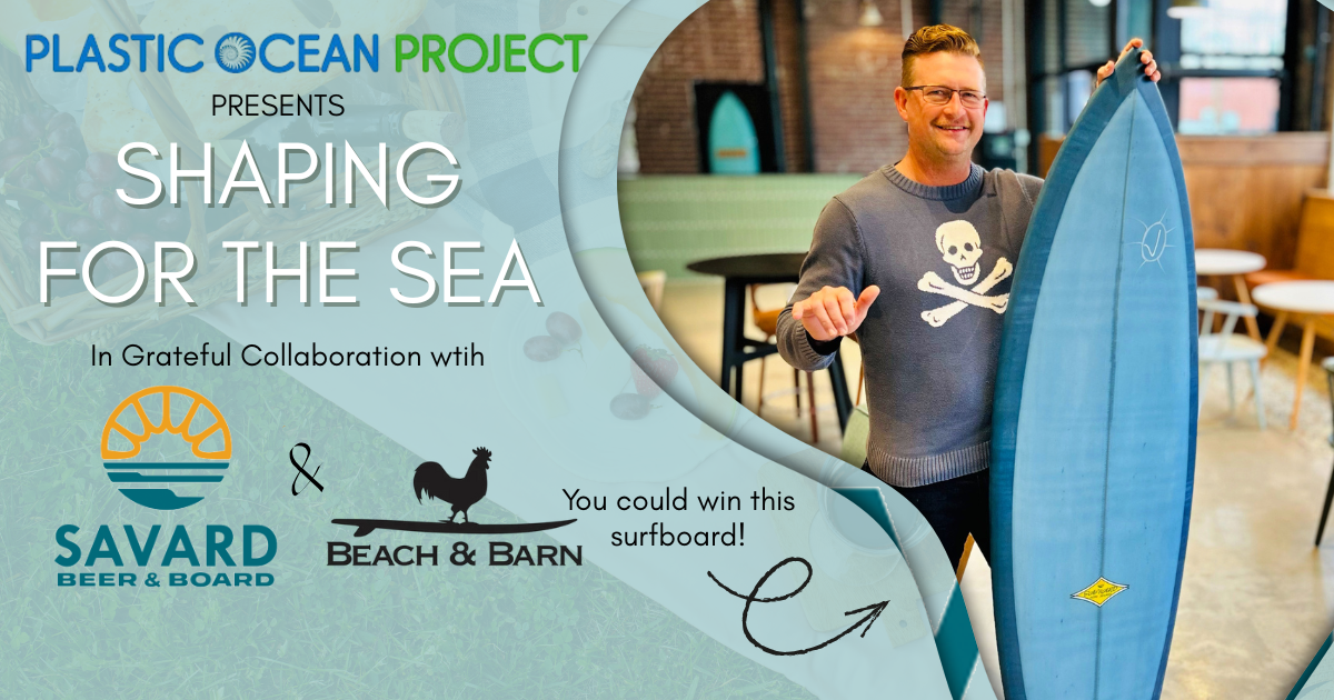Campaign cover image for Shaping For The Sea