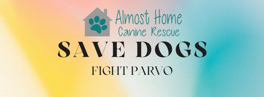 Campaign cover image for Help Us Save Dogs Fighting Parvo 💛