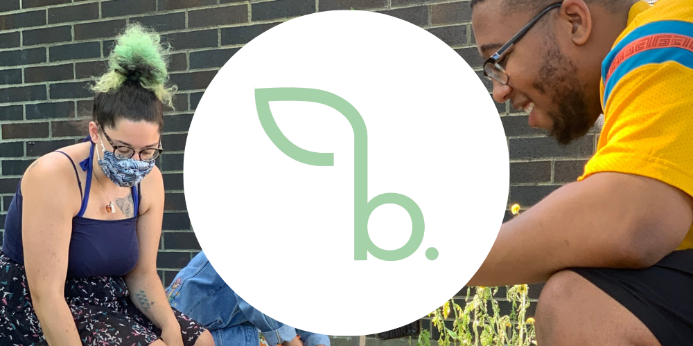 Campaign cover image for Basilica Bio