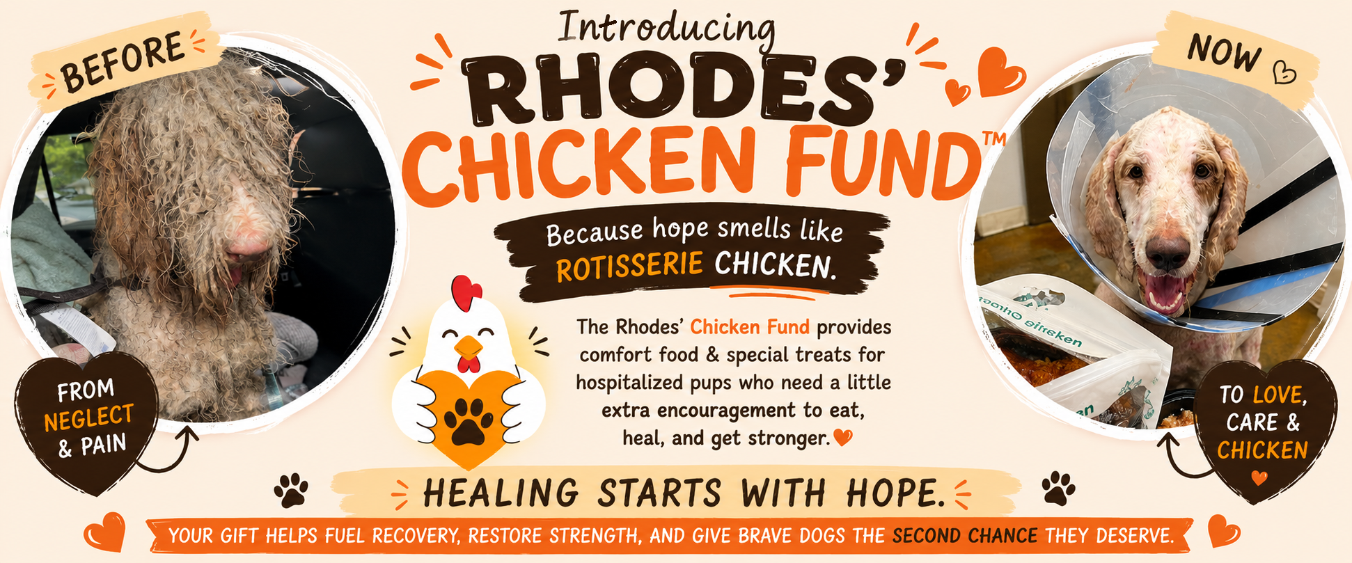Campaign cover image for Rhodes Chicken Fund