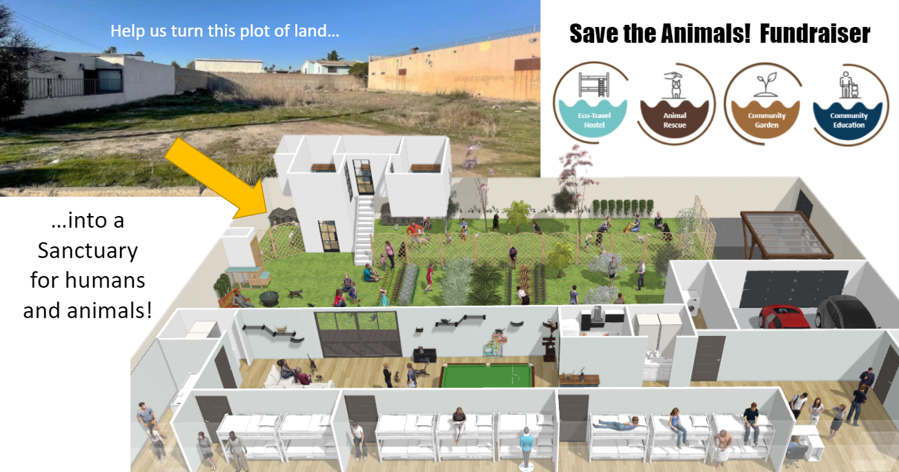 Campaign cover image for Save the Animals! Fundraiser