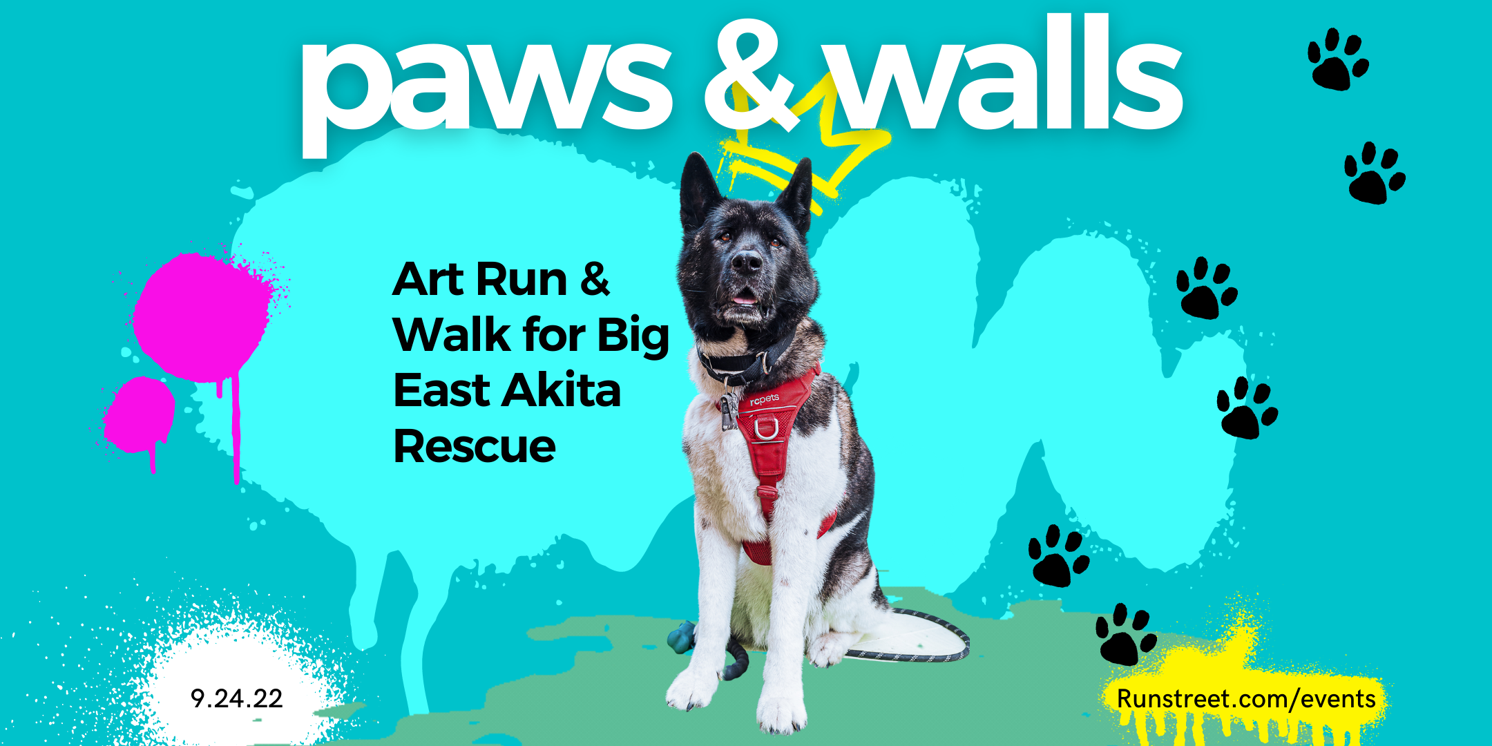 Campaign cover image for Paws & Walls Art Run & Walk for Rescue
