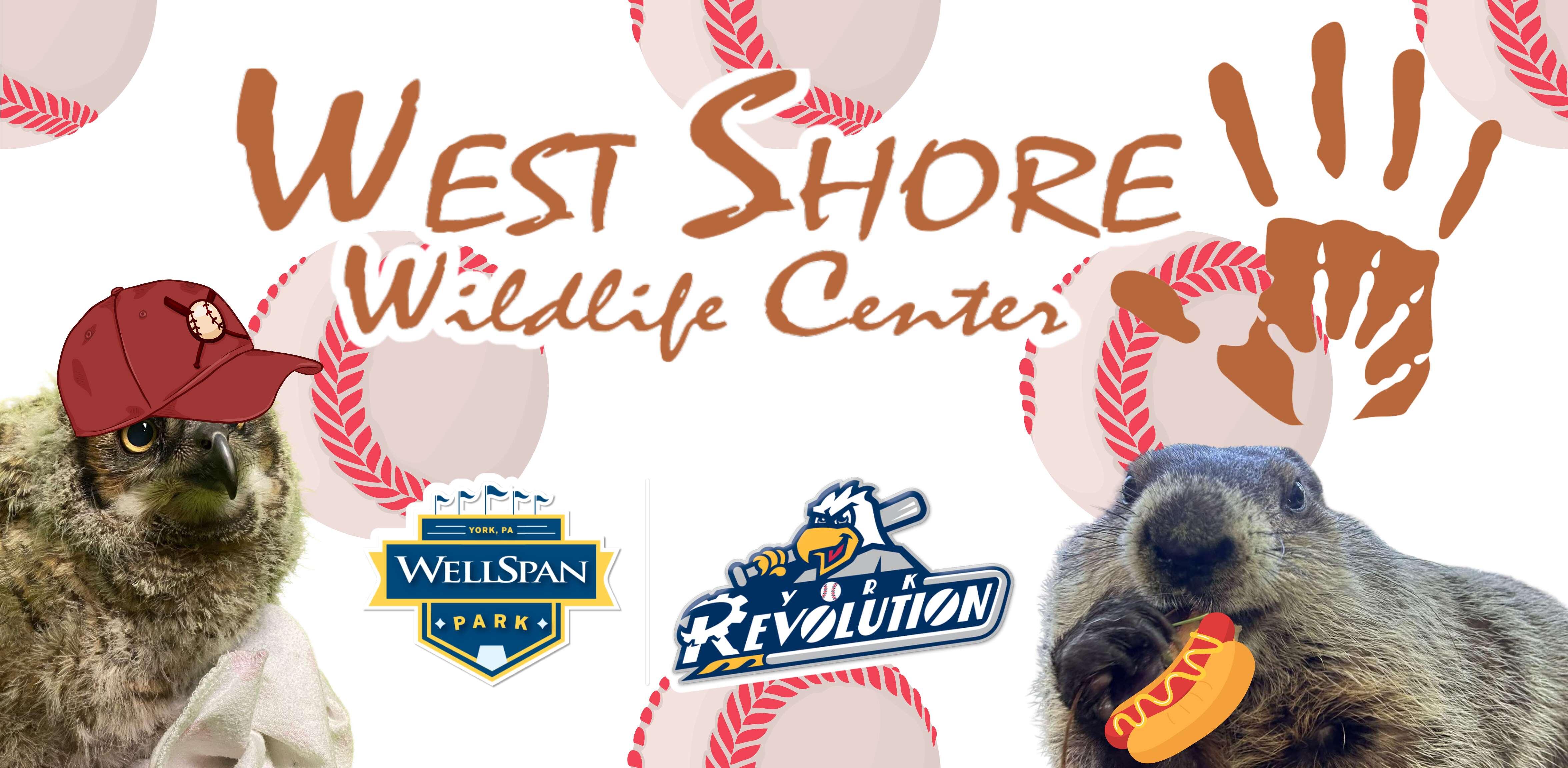 Campaign cover image for Pitch In for Wildlife ⚾