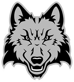 Campaign cover image for Wolfie Pickleball Tournament: Alumni & Friends Edition