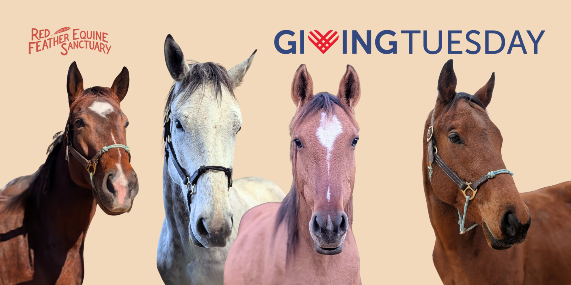 Campaign cover image for Giving Tuesday 2025 - Full Bellies Challenge!