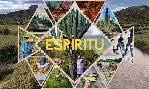 Campaign cover image for Rooted Stories, Global Impact: Fuel IRP’s Next Chapter