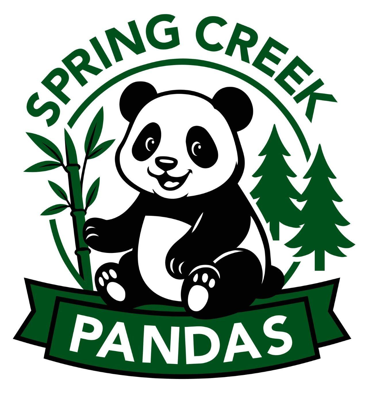 Campaign cover image for Spring Creek Elementary PTO 2026 Carnival Auction