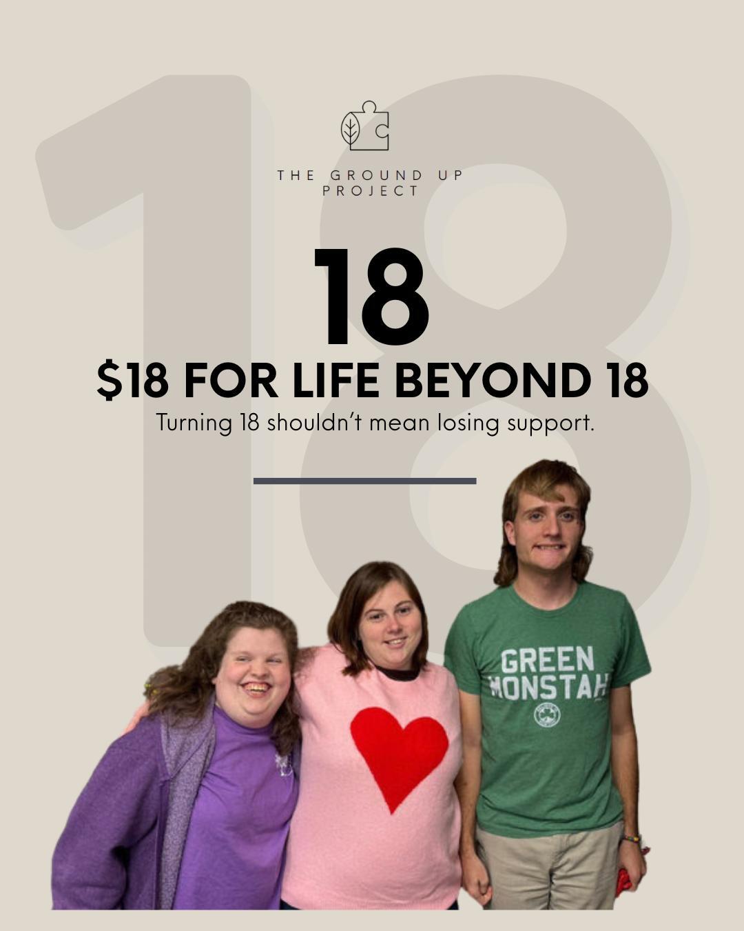 Campaign cover for $18 for Life Beyond 18