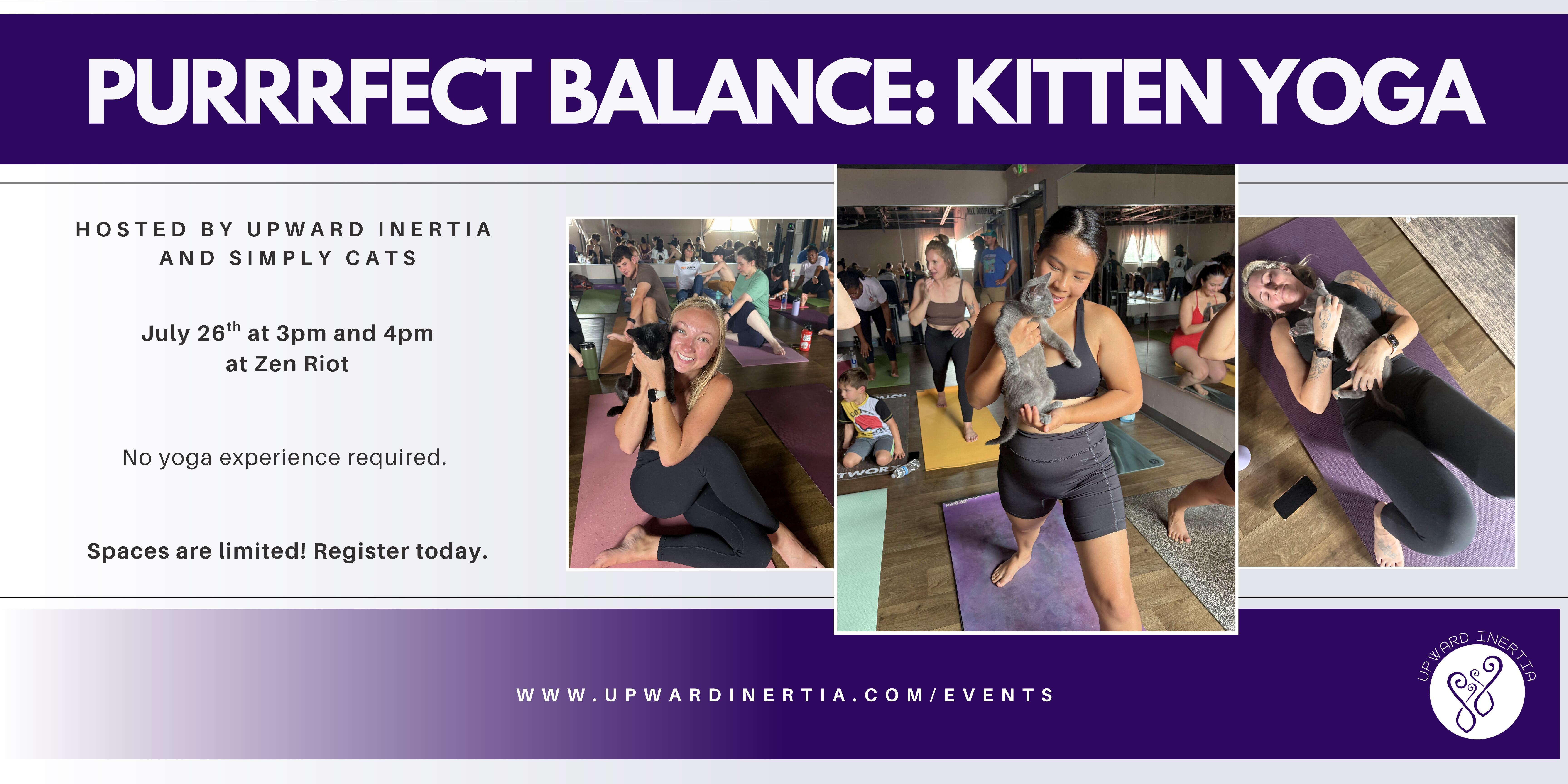 Campaign cover image for Purrrfect Balance: Kitten Yoga with Upward Inertia and Simply Cats
