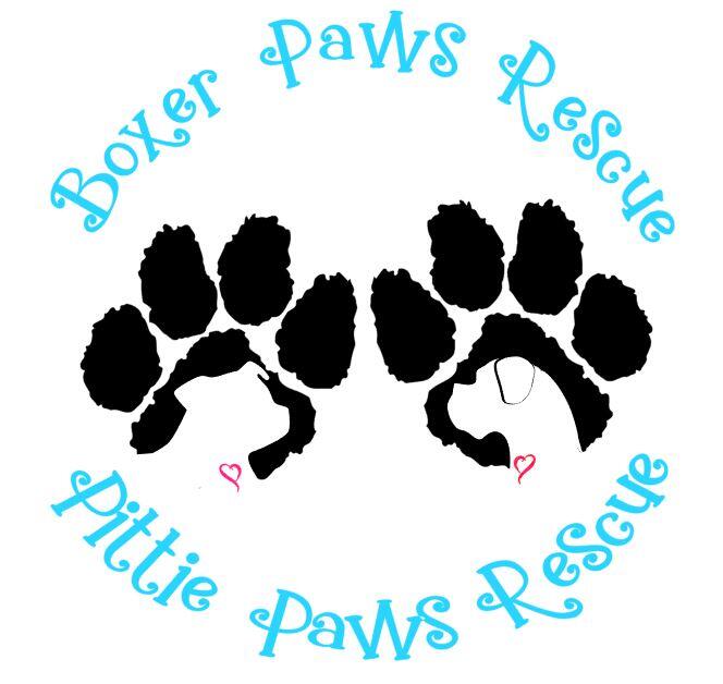Campaign cover image for Bids for Paws🐾