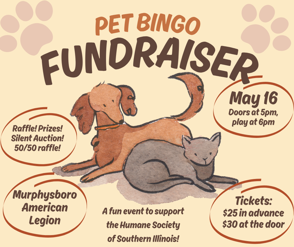 Campaign cover image for Pet Bingo Fundraiser