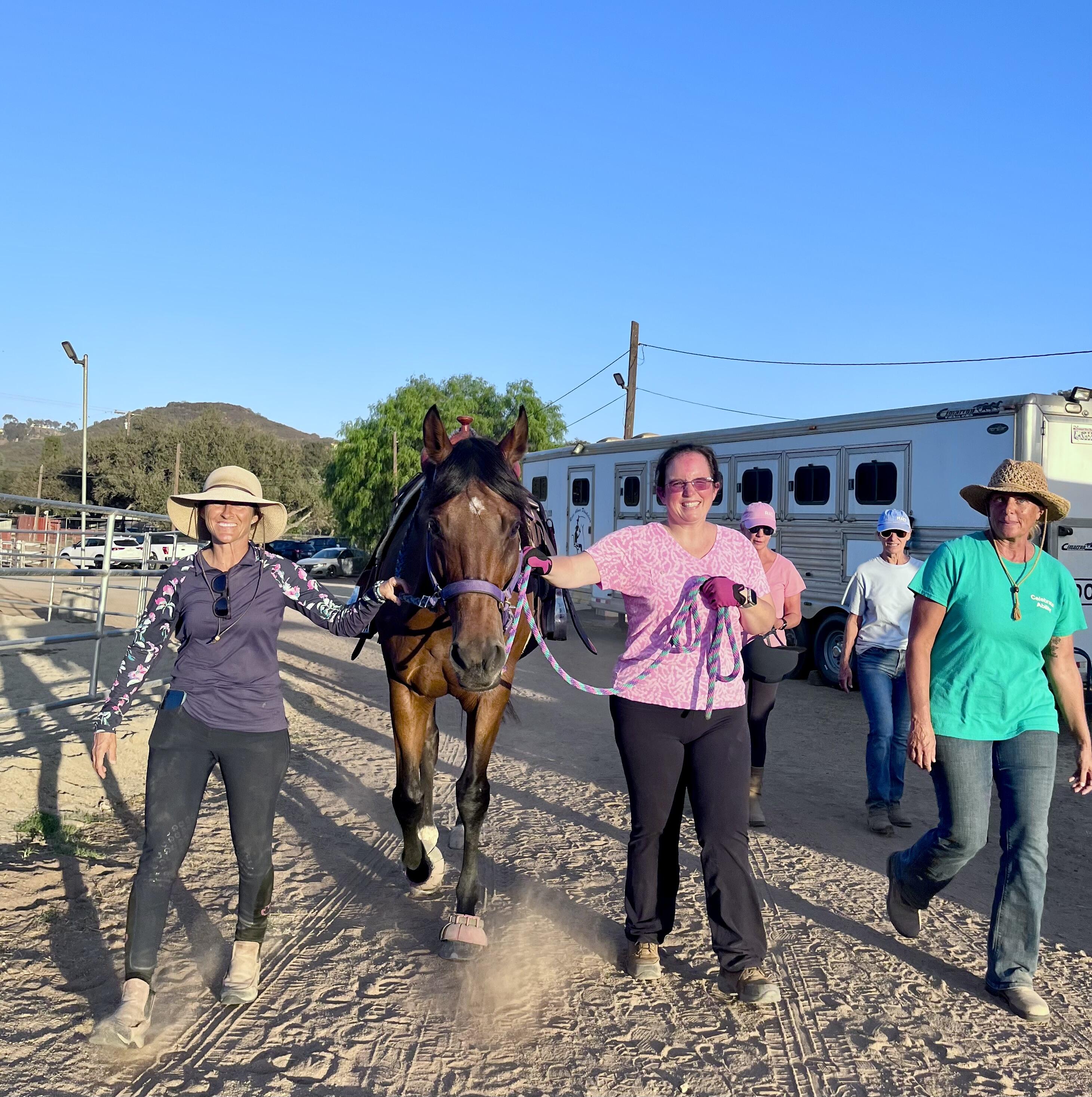 Campaign cover image for Dinner with Horses 2026