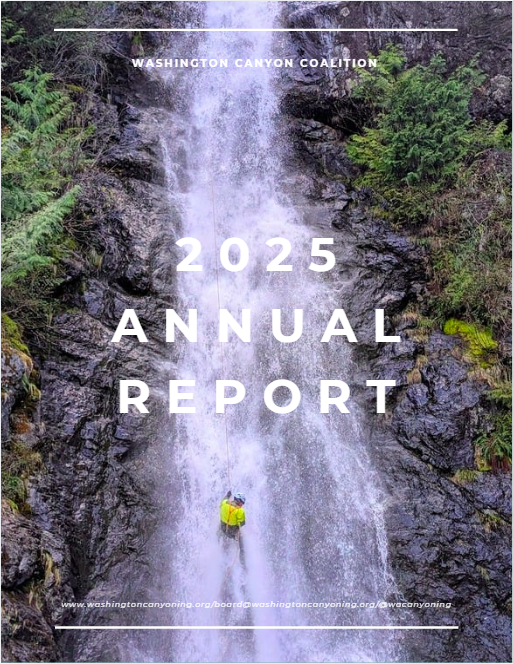 Campaign cover for 2025 Annual Report