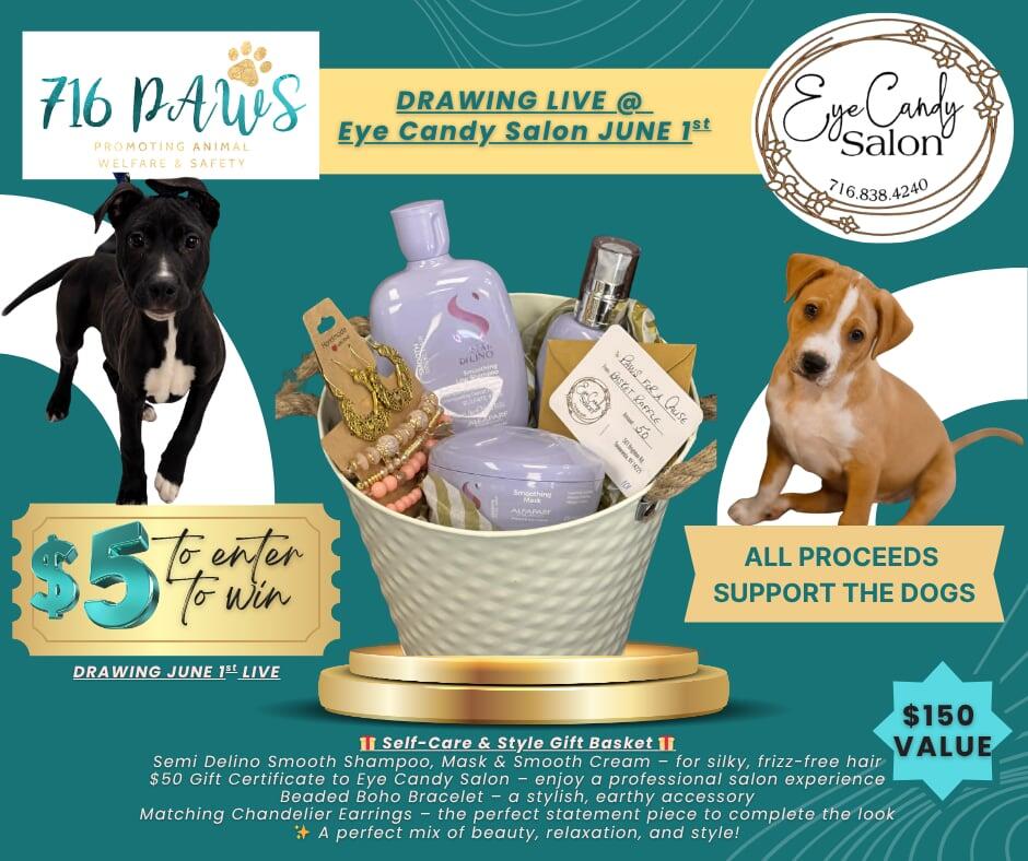 Campaign cover image for May 2026 Basket Raffle
