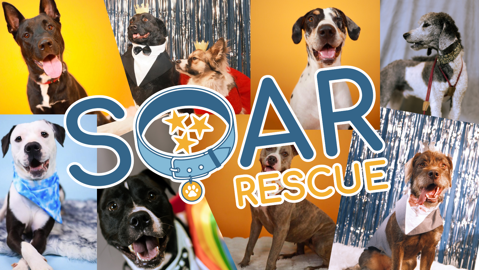 Soar Rescue SOAR Donation Store | SOAR Rescue