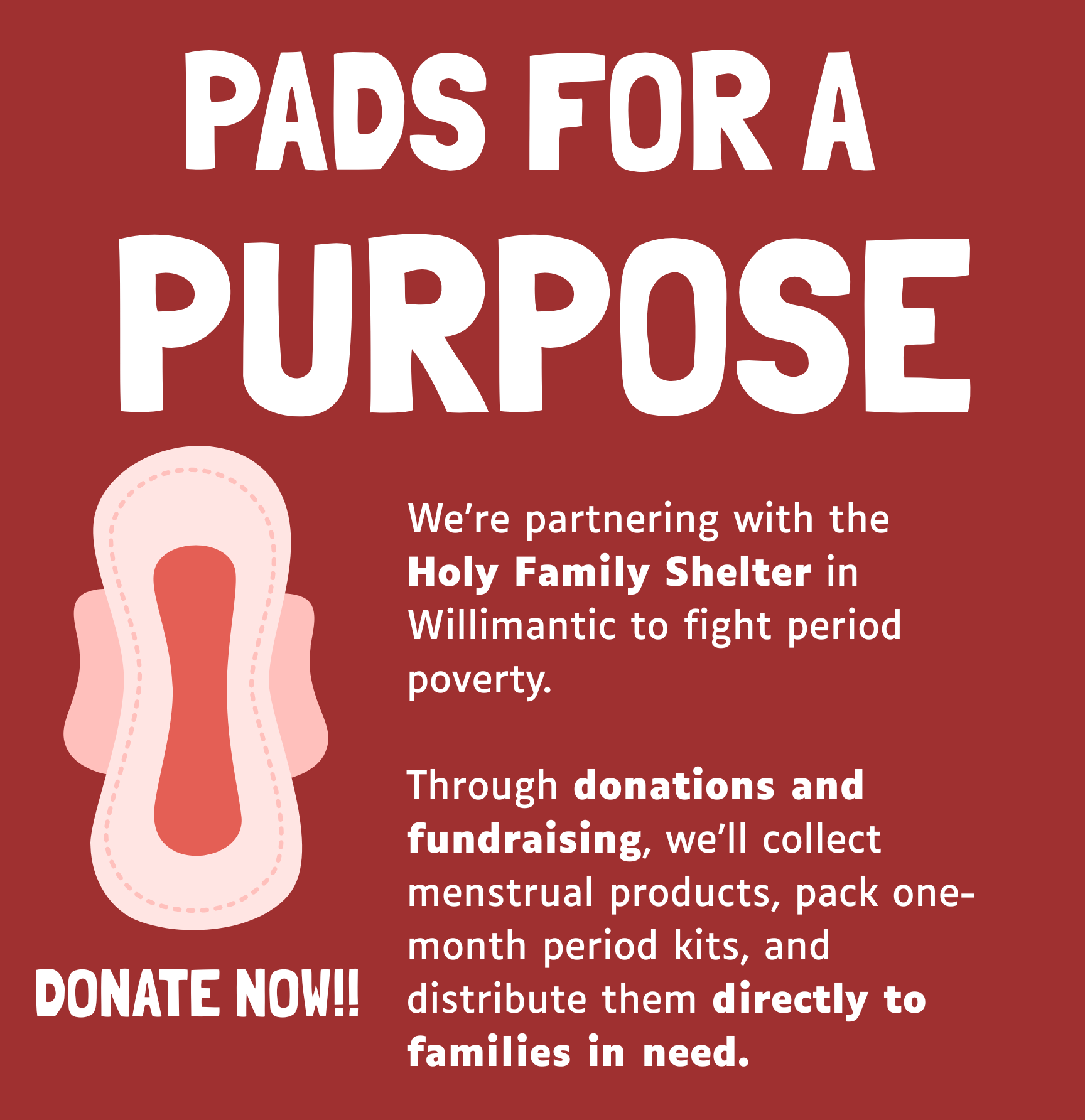 Campaign cover image for Pads for a Purpose