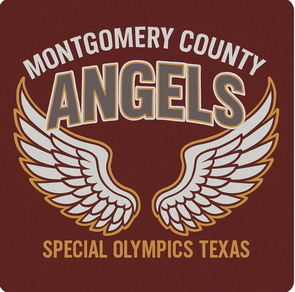 Campaign cover image for Teams - Area 6 Montgomery Angels