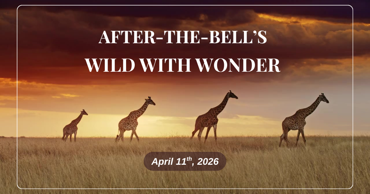 Campaign cover image for After-The-Bell's Discover Your Destiny - TICKETS