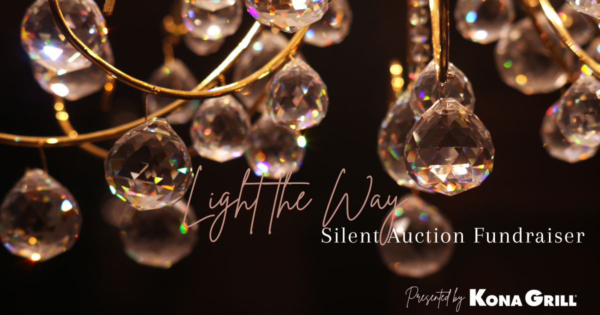 Campaign cover image for 2025: Light the Way Silent Auction Fundraiser