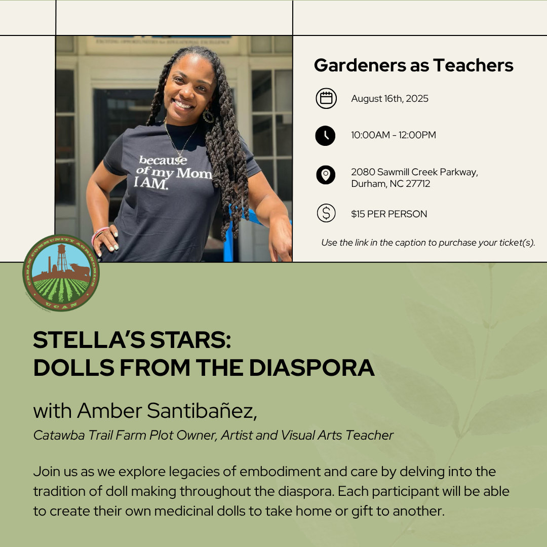 Campaign cover image for Stella's Stars: Dolls from the Diaspora