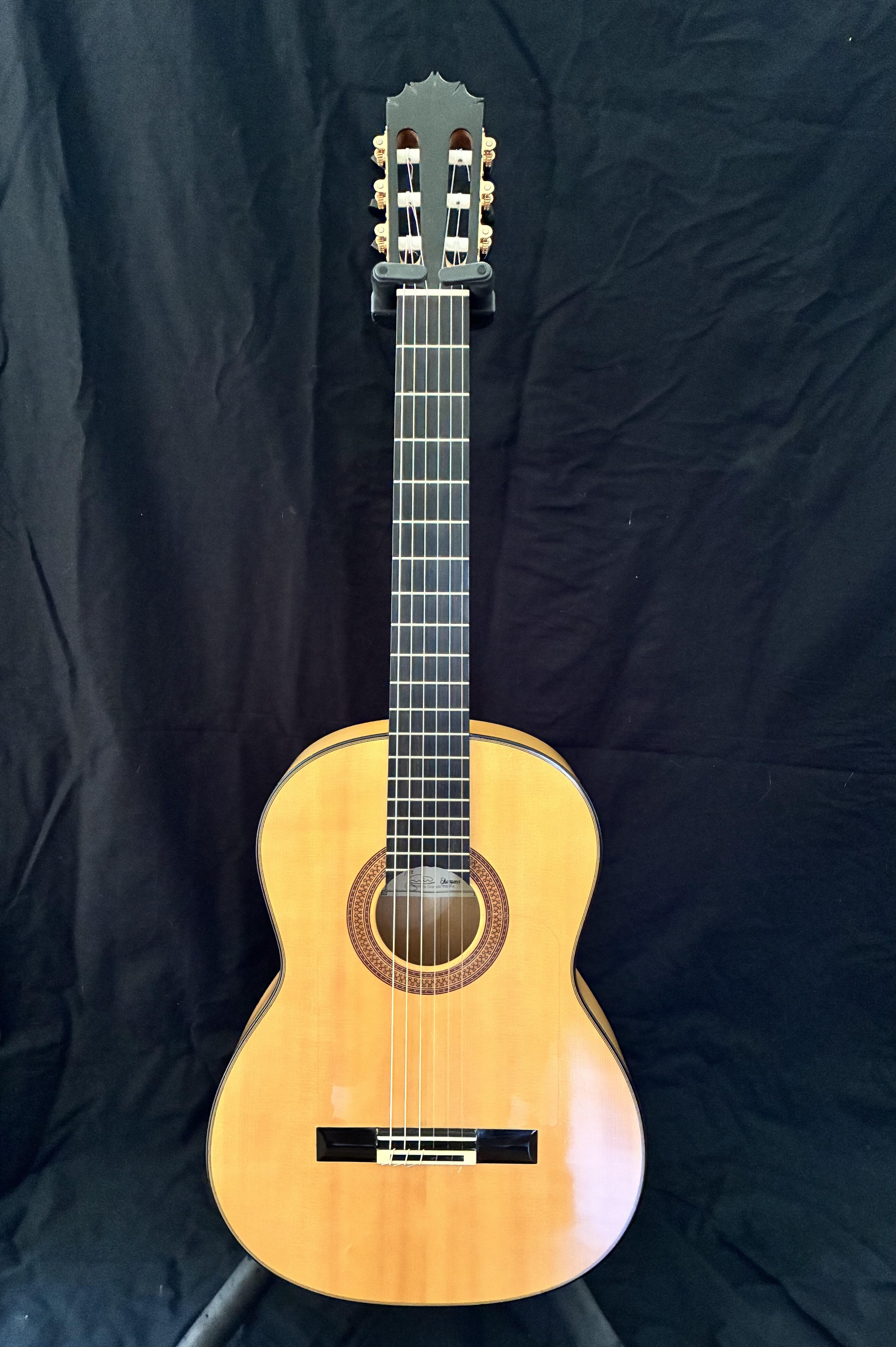 Campaign cover image for RIGG Flamenco Concert Guitar Raffle