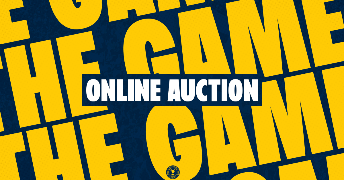 Campaign cover image for The Game Auction