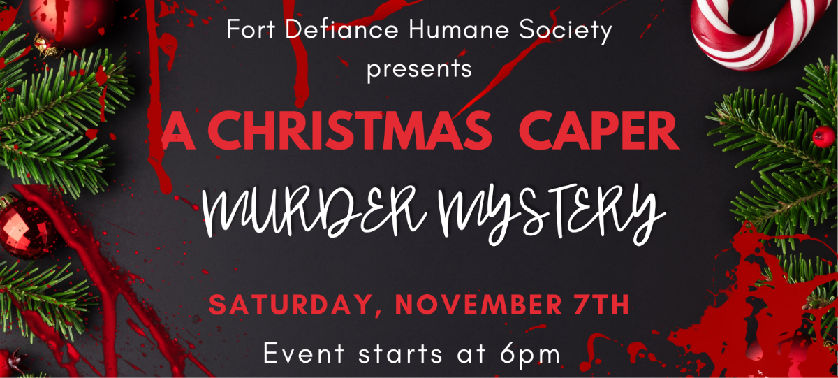 Campaign cover image for Murder Mystery