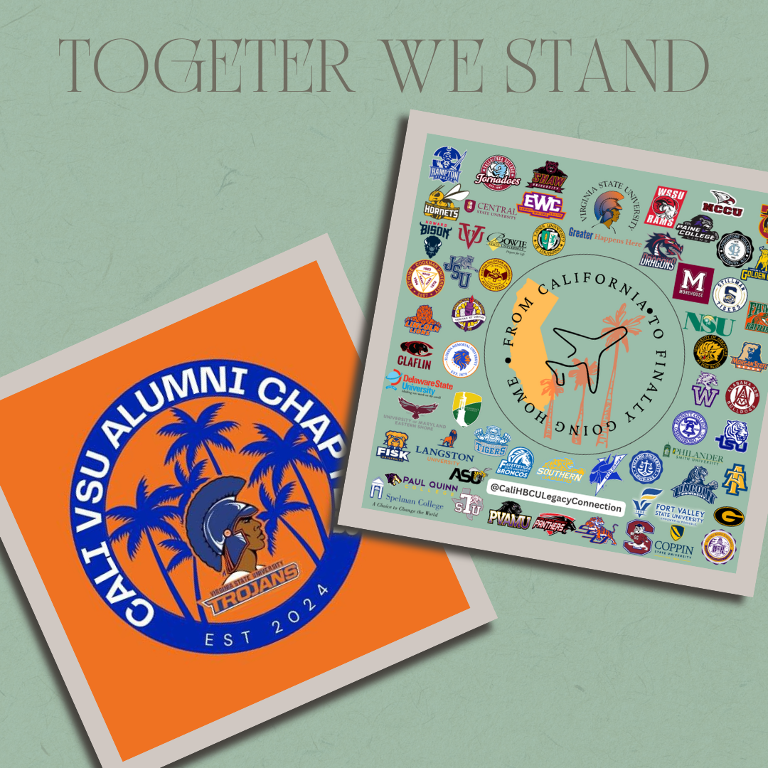 Campaign cover image for Together We Rise: Supporting Families Affected by the LA Fires