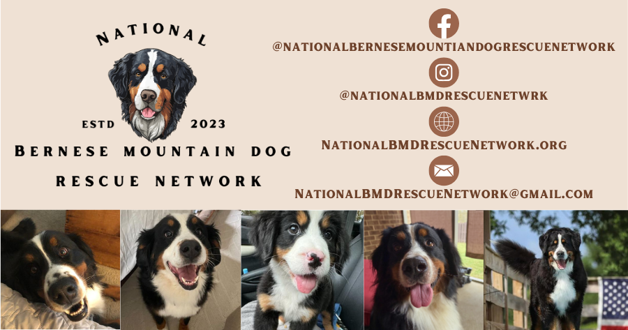 Campaign cover image for Love at First Bark Fundraiser for NBMDRN