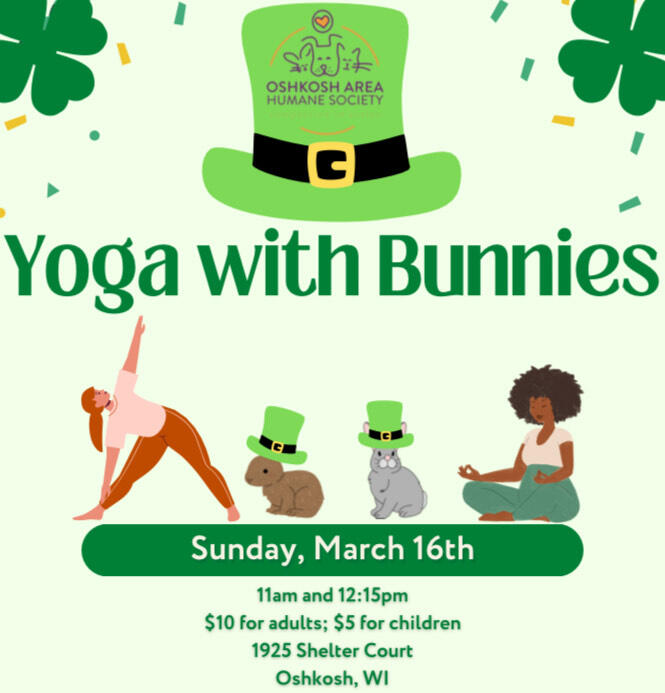 Campaign cover image for Yoga With Bunnies