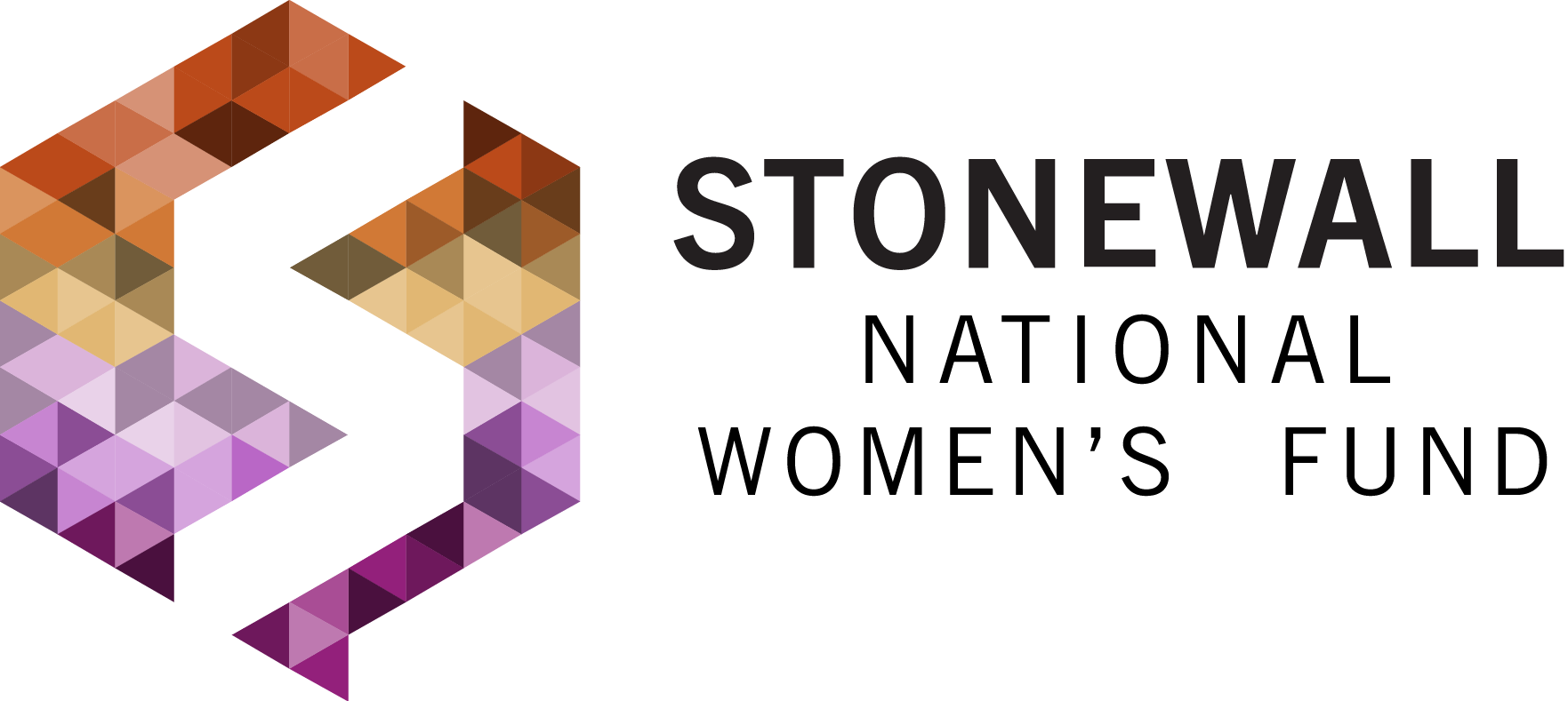 Campaign cover image for Stonewall National Women's Fund Page