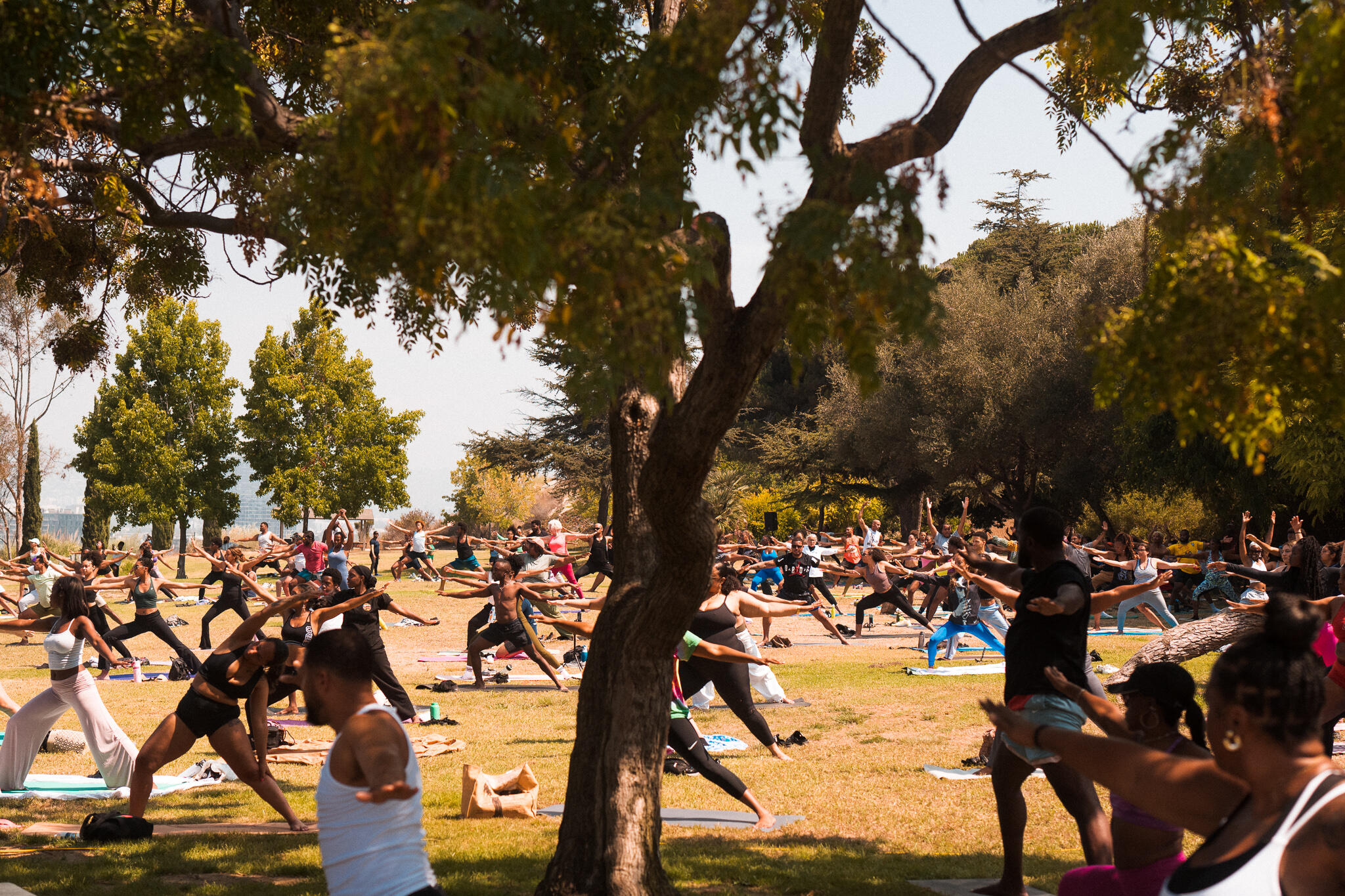 Campaign cover image for 11/2: BreatheGood