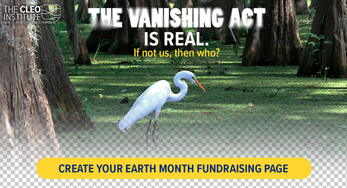 Campaign cover image for Earth Month 2025