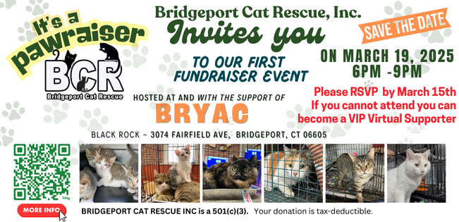 Campaign cover image for Bridgeport Cat Rescue Pawraiser