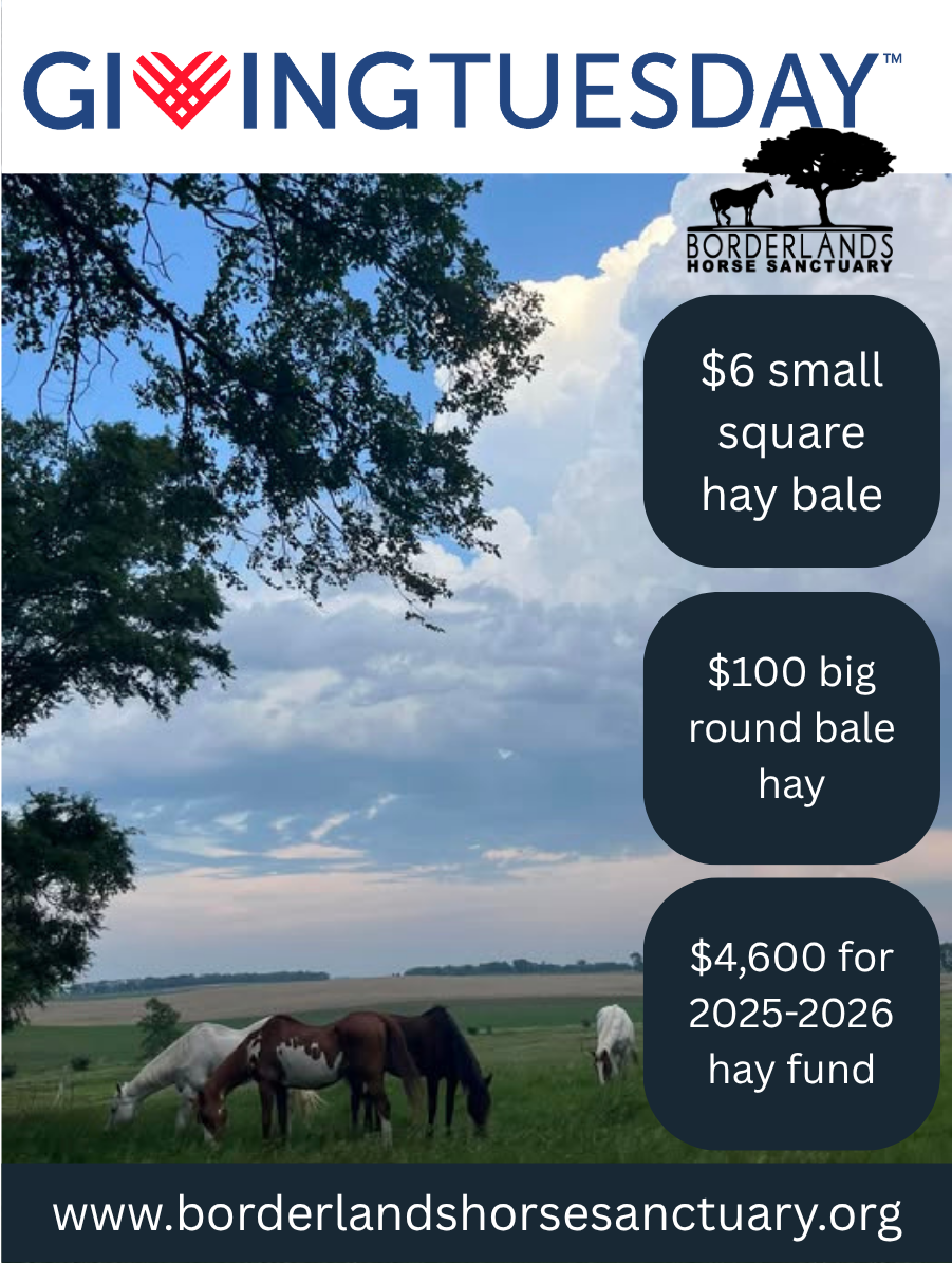 Campaign cover image for Hay Heroes: Join the Feed Mission