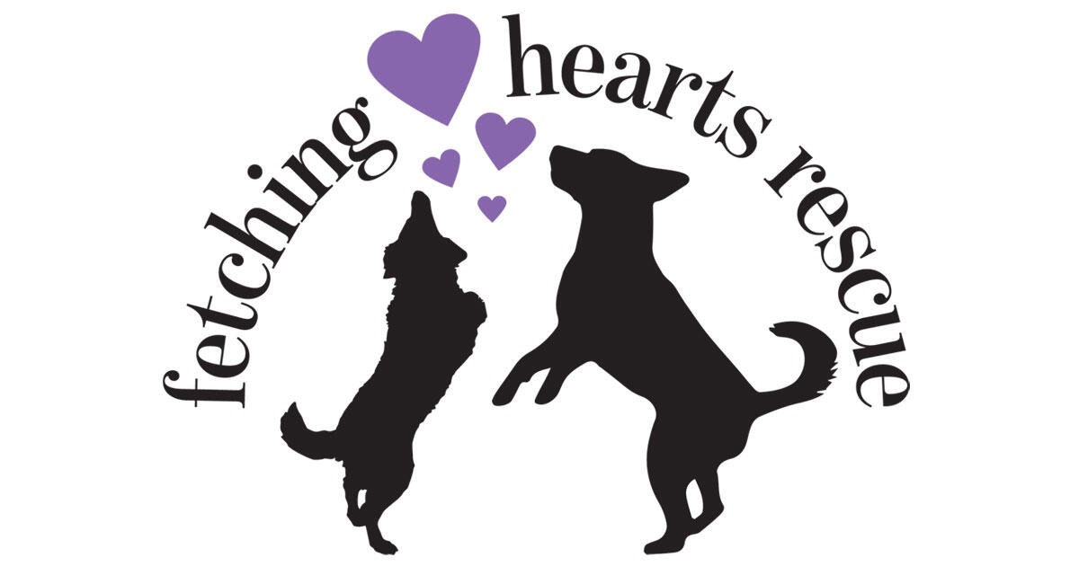 Campaign cover image for Donate