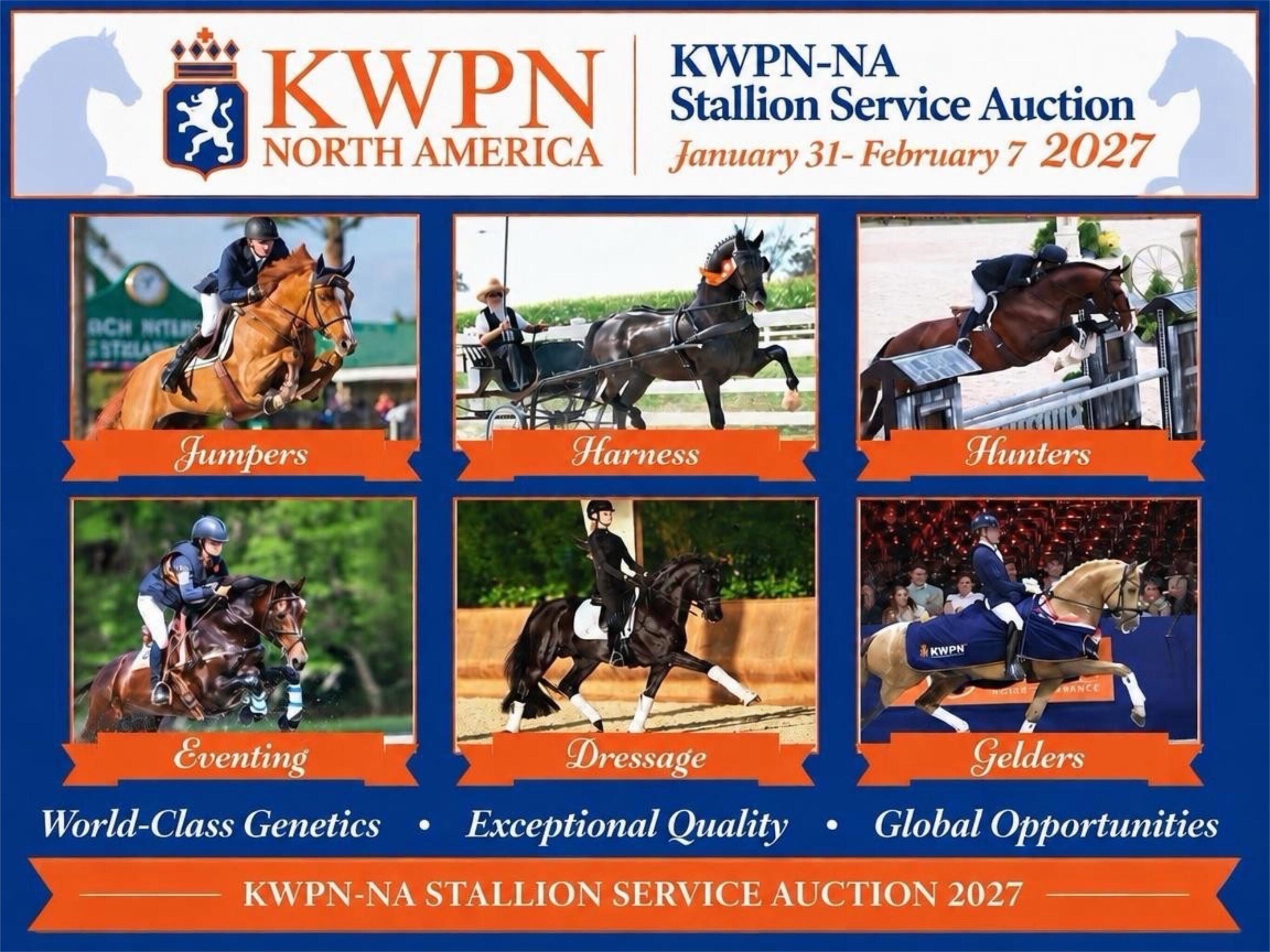 Campaign cover image for 2027 KWPN-NA Stallion Service Auction