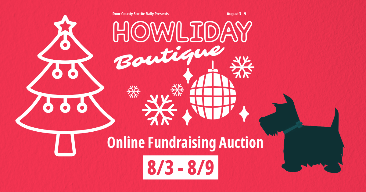 Campaign cover image for DCSR Howliday Boutique