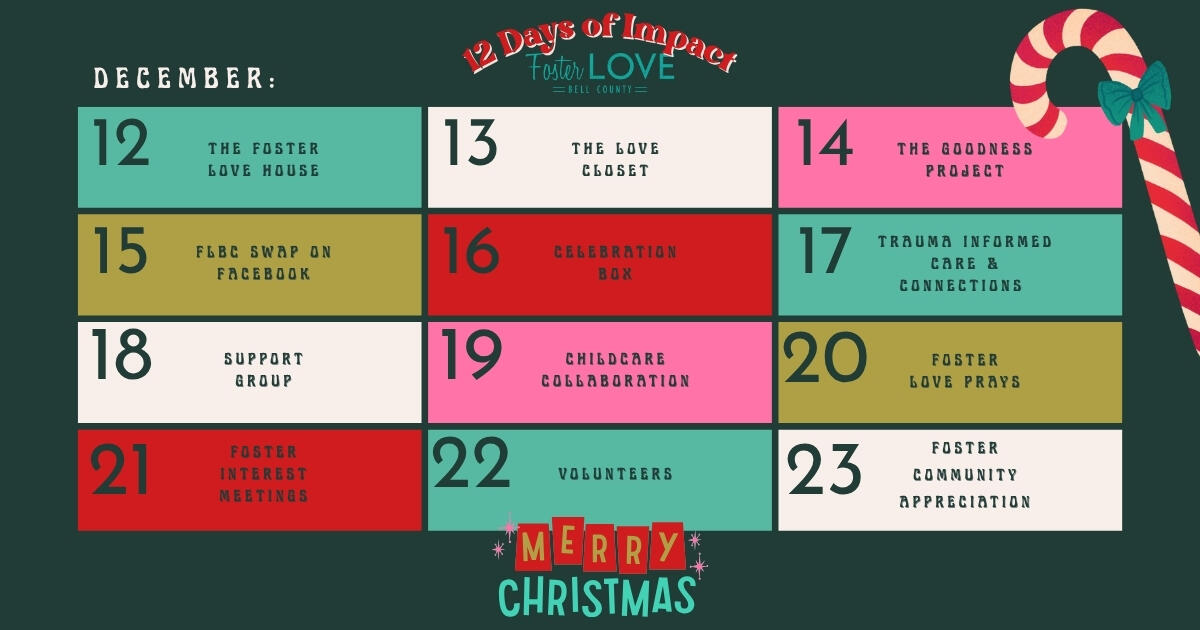 Campaign cover image for 12 Days of Impact