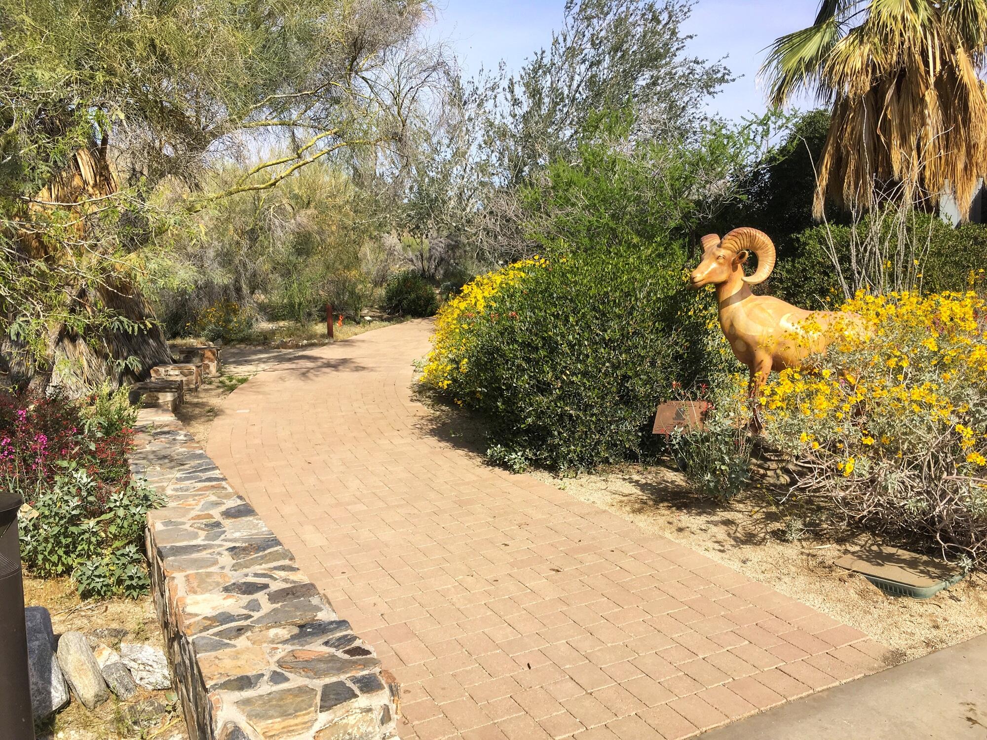 Campaign cover image for 11-28-2025 - Ed Hastey Garden Walk