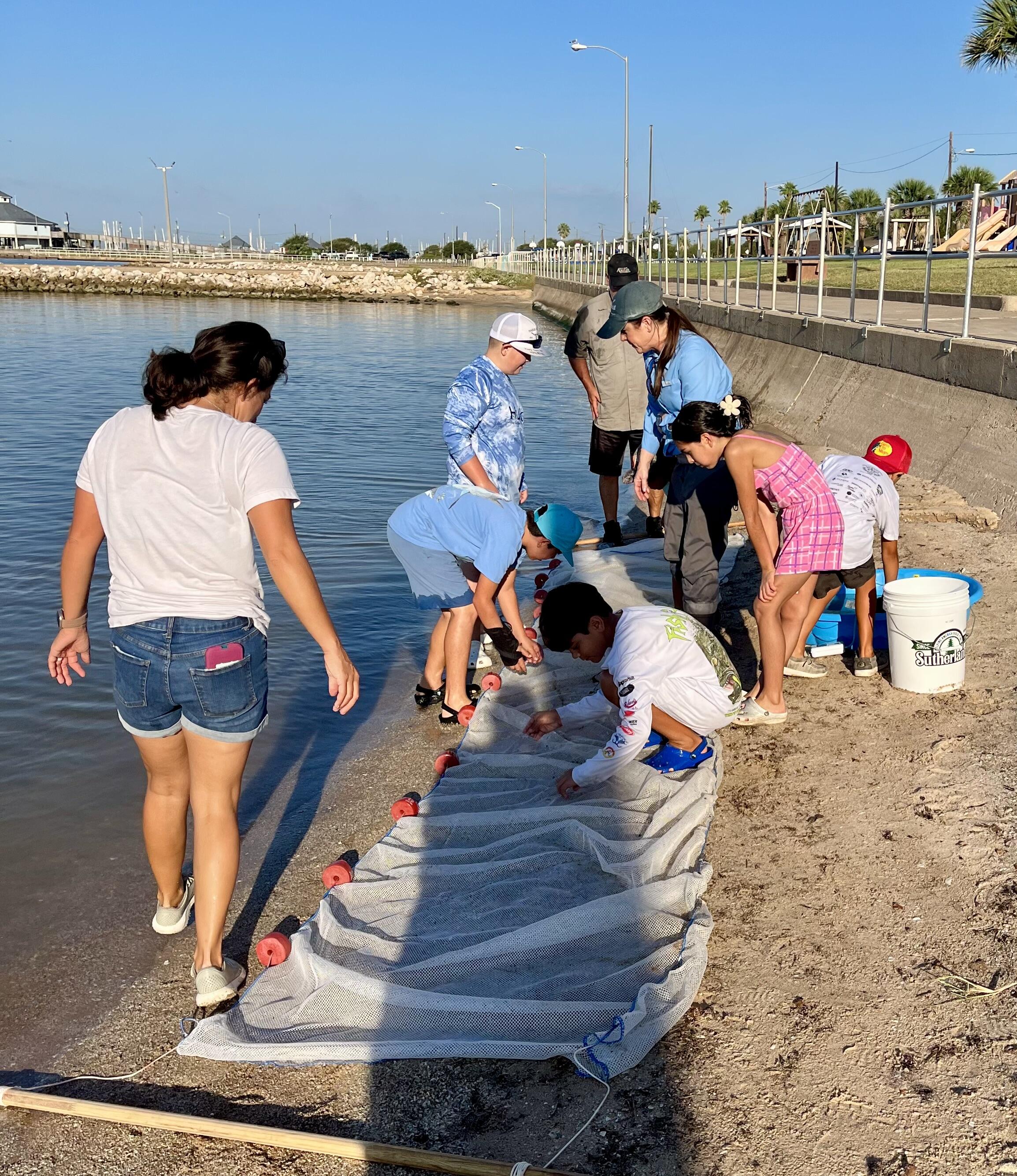 Campaign cover image for PAHA Giving Tuesday 2026