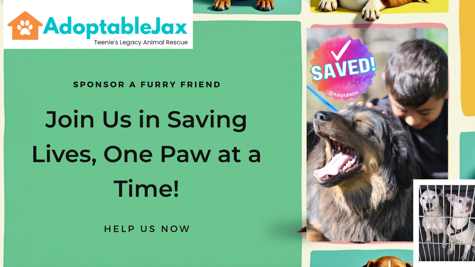 Campaign cover image for Help Save California dogs!