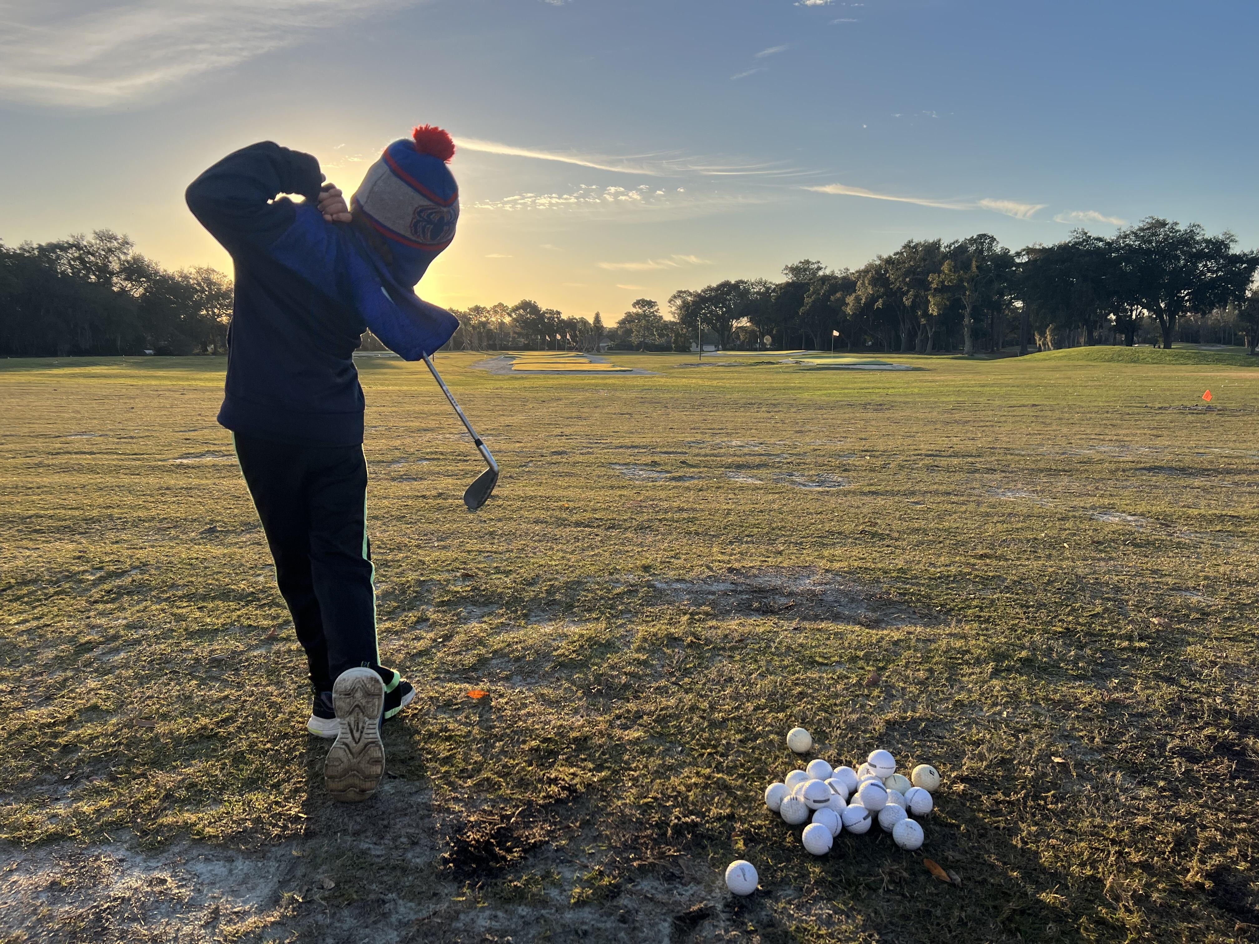Campaign cover for The Great Golf Ball Campaign