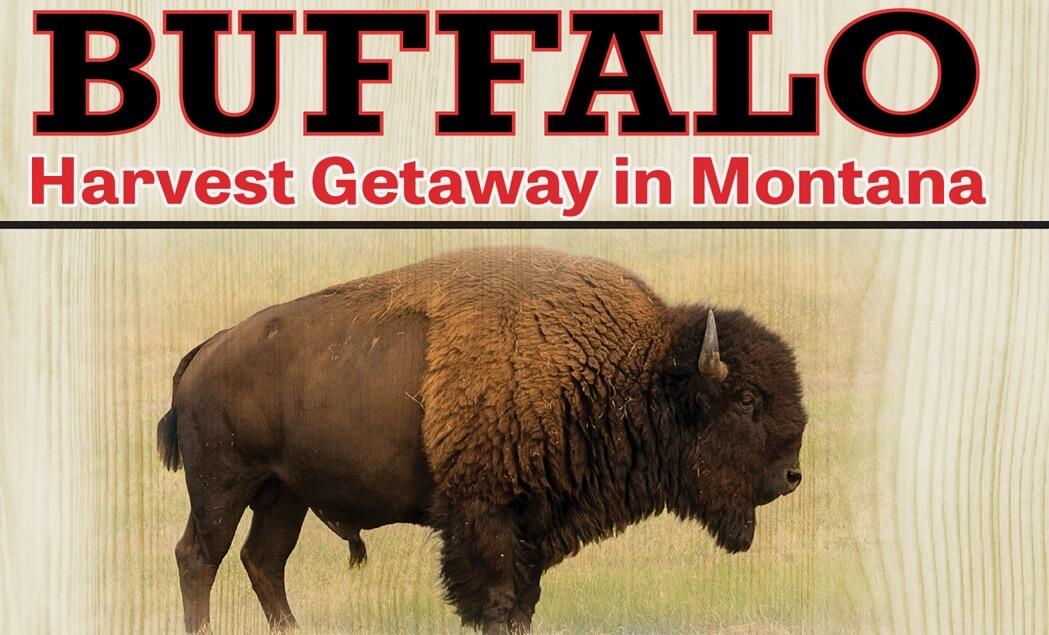 Campaign cover image for 2025 Buffalo Harvest Getaway in Montana